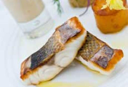 Sea bass