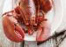 Lobster
